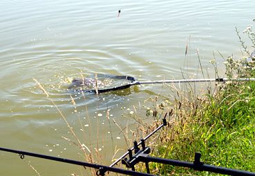 IMG-20230711-WA0001