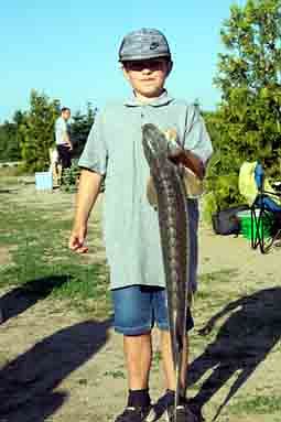 IMG-20230711-WA0031